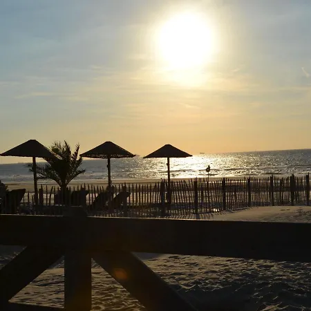 In Netherlands With Garden Terrace Holiday home 's-Gravenzande